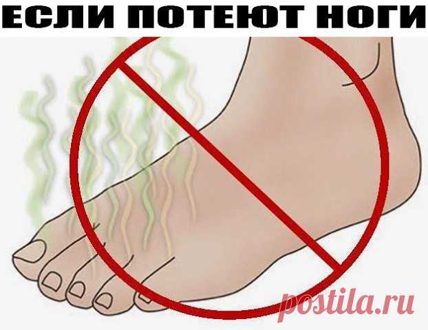 (64) Одноклассники