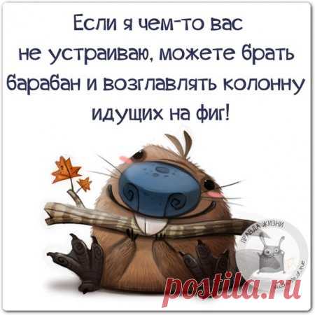Позитив в картинках, в пятницу,13го.... » Поржать.ру