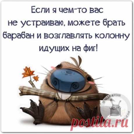 Позитив в картинках, в пятницу,13го.... » Поржать.ру