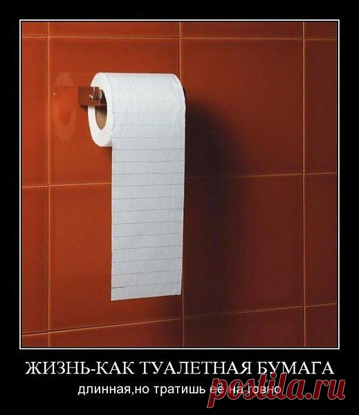 Не забывай рулоны менять!