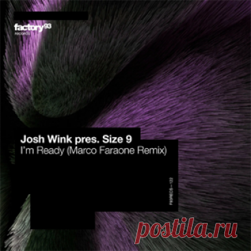 Josh Wink, Size 9 - I'm Ready - Marco Faraone Remix | 4DJsonline.com