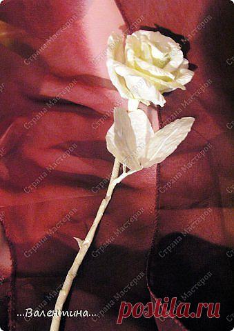 Совмещаем несовместимое.Роза и малярный скотч... | Страна Мастеров