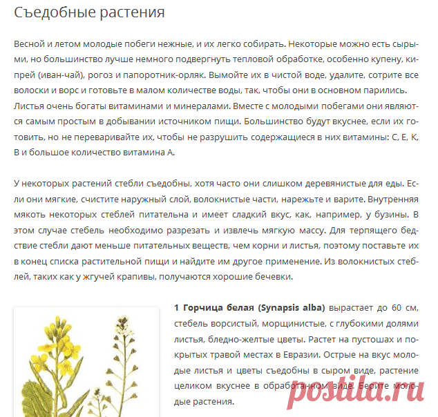 Съедобные растения | Я сам умею, я сам могу сделать