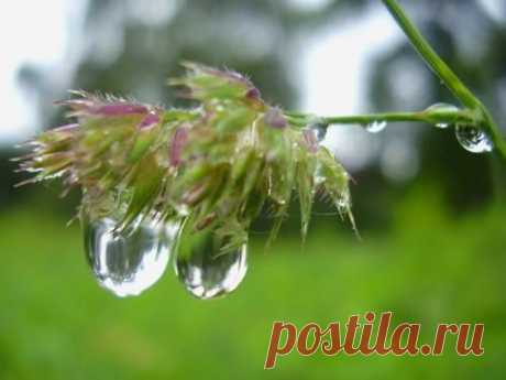 Стресс - болезнь цивилизации? Шкала стресса. Лечение стресса