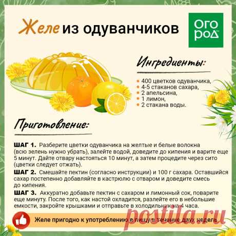 Желе из одуванчиков