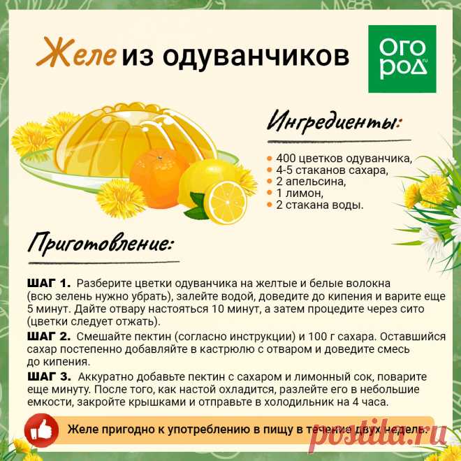 Желе из одуванчиков