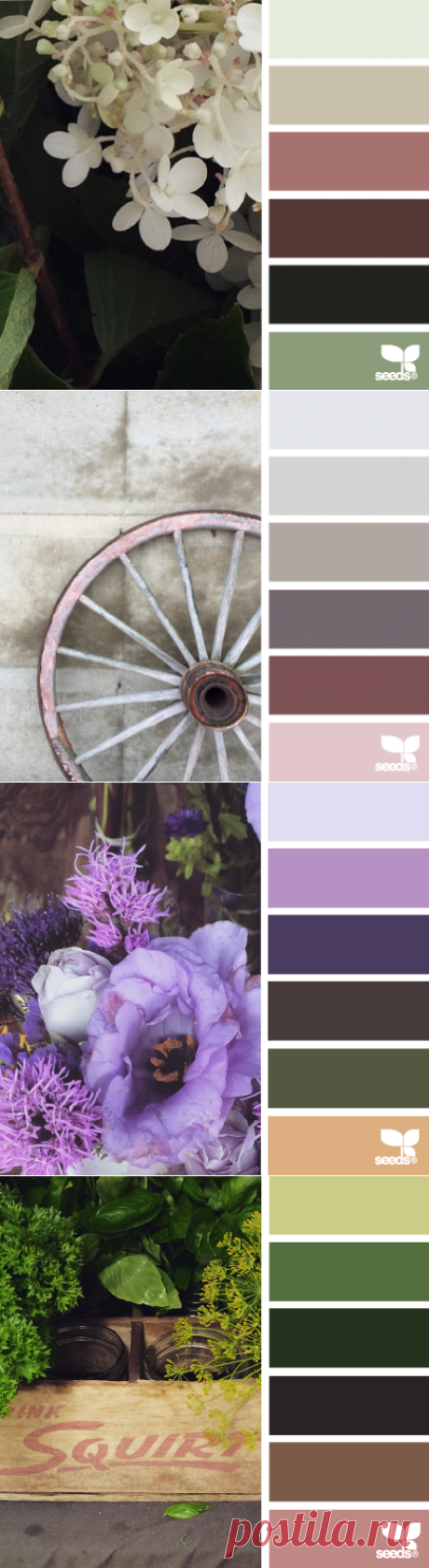 design seeds | for all who ♥ color
