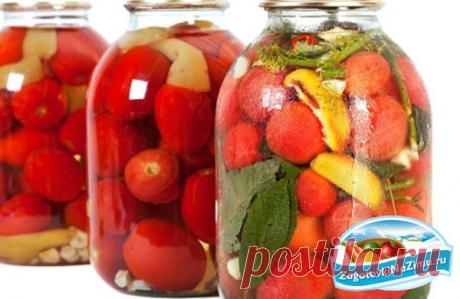 Засолка томатов: лучшие рецепты
