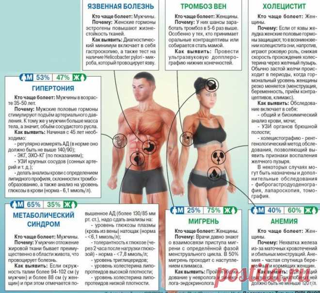 Откуда у недугов «половая» принадлежность? / Будьте здоровы