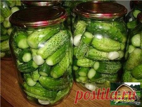 ЗАКРЫВАЕМ ОГУРЦЫ НА ЗИМУ. 8 ВАРИАНТОВ ЗАГОТОВОК!

1. ВАРИАНТ-ОГУРЦЫ "КАК МАГАЗИННЫЕ"
на 1 литр воды:
- 1,5 ст.ложки соли
- 3 ст.л. сахара
- 10-12 ложек 9% уксуса на 3-х литровую банку.
1. Лавровый лист, душистый перец, гвоздику, репчатый лук (кольцами), укроп уложить на дно банки, далее огурцы.
2. Подготовленные огурцы в банках залить кипятком, остудить до теплого состояния, слить, добавить сахар и соль в расчете на 1 л.воды, вскипятить снова, залить огурцы и закатать.
Укс...