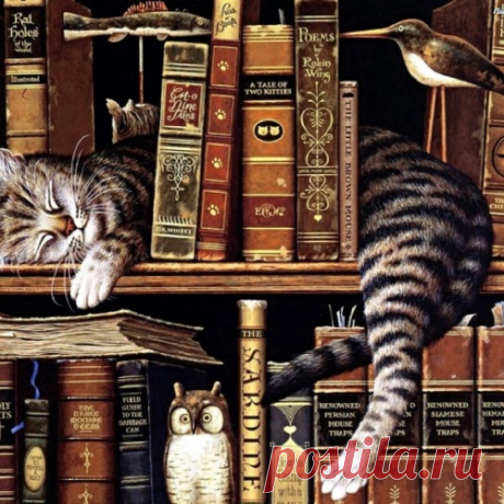 20 истинных значений выражений, которые мы употребляем не задумываясь