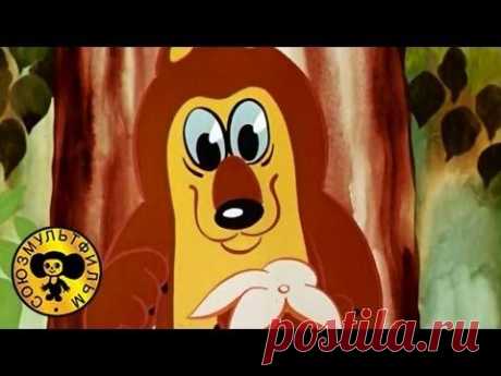 ▶ Песни из мультфильмов - Мы делили апельсин (Весёлая карусель № 8) - YouTube