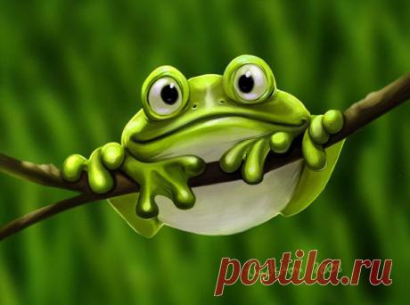 картинки лягушек прикольные: 19 тыс изображений найдено в Яндекс.Картинках