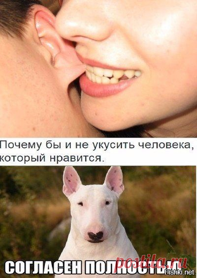 Солянка новое