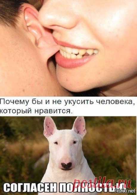 Солянка новое