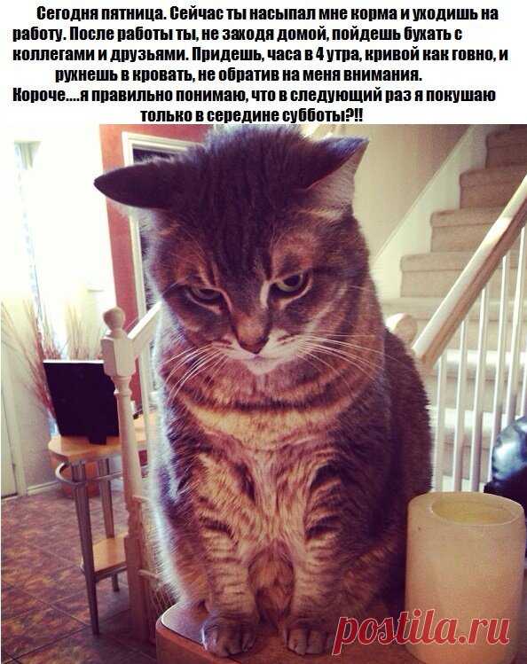 Конец рабочей недели