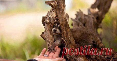 Одноклассники