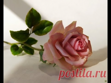 2 ВИДЕОРЕЦЕПТА ПРИГОТОВЛЕНИЯ ХОЛОДНОГО ФАРФОРА..
