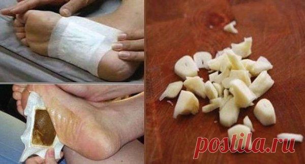 Фантастическая детоксикация. Всего за три дня организм очистится от токсинов | Лучше быть красивым и здоровым! | Яндекс Дзен