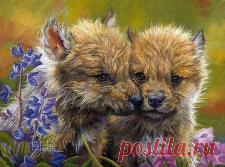 Мир дикой природы. Художница Lucie Bilodeau.