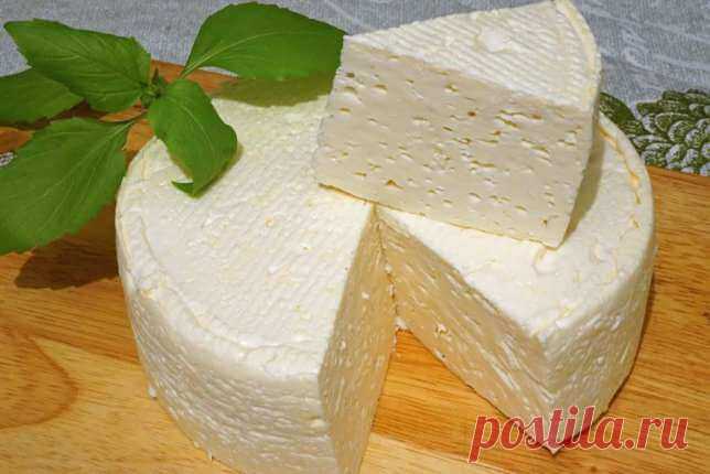 Домашний французский сыр: вкусно, просто и дешево — Бабушкины секреты