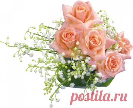 разные красивые детали на прозрачном фоне - Поиск в Google