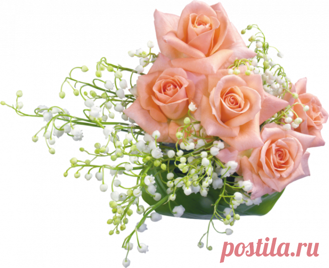 разные красивые детали на прозрачном фоне - Поиск в Google