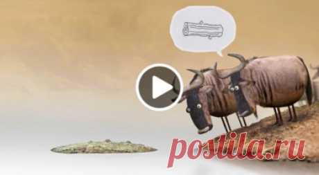 Cмешной и глубоко философский мультфильм – Фитнес для мозга
