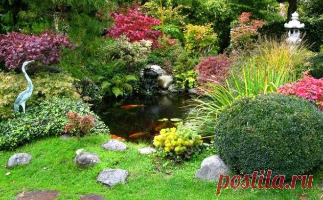 Идеи оформления дачного водоема