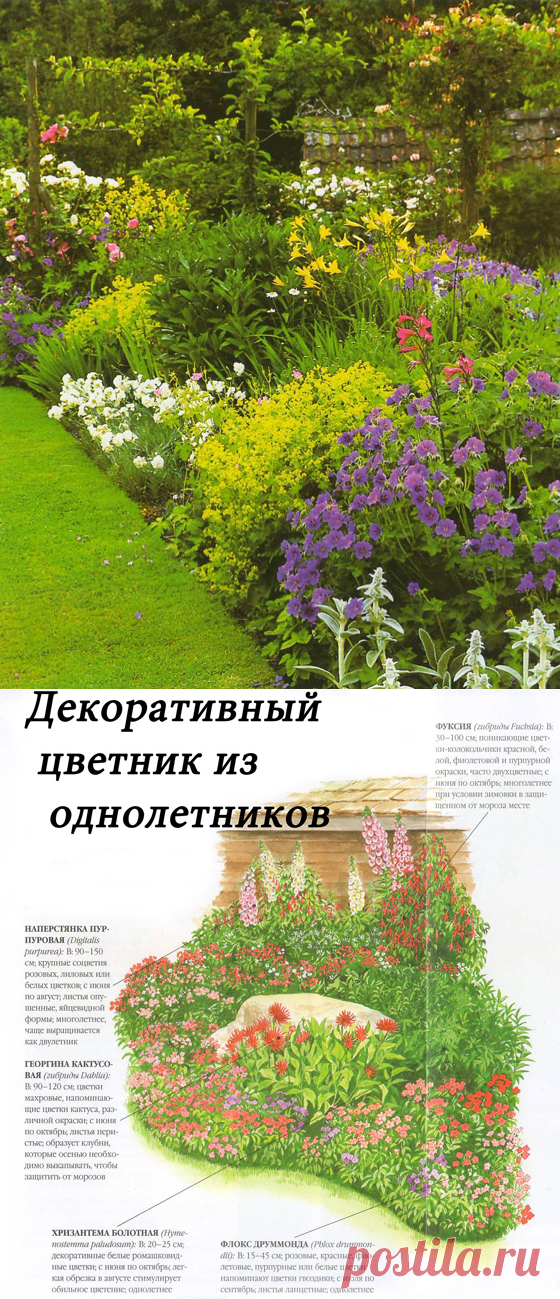 Оформление цветника своими руками на даче: схемы и фото растений