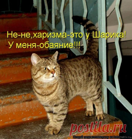 НЕ ПУТАТЬ...