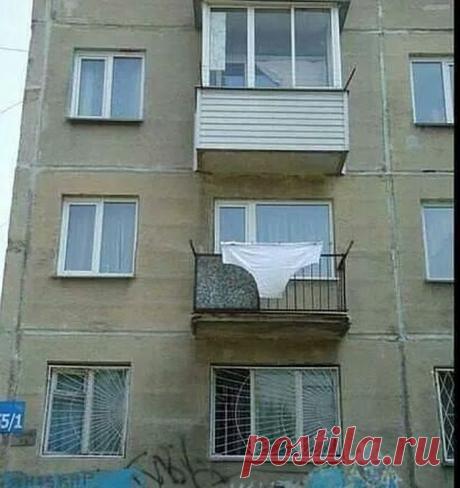 Изумительные приколы дня | Удивительный мир