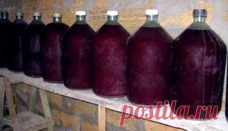 Домашнее вино из черной смородины: рецепты, польза и вред