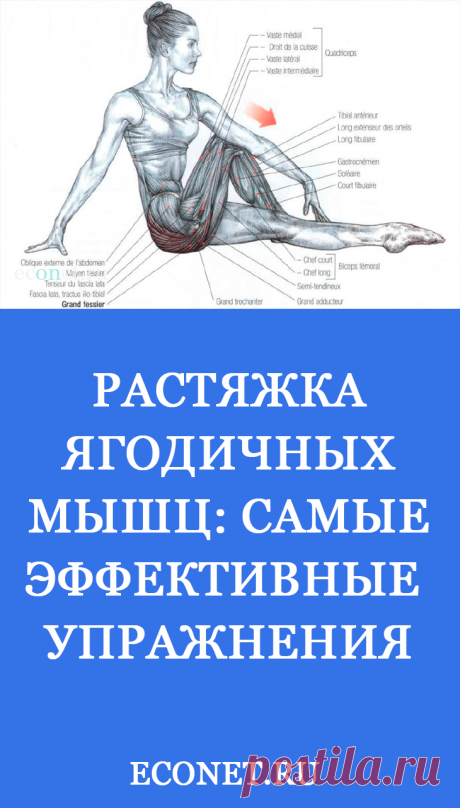 Растяжка ягодичных мышц: Самые эффективные упражнения

Растяжка мышц рекомендуется до и после тренировки. Для ЯГОДИЦ разработаны такие упражнения, которые подходят людям любого возраста. Вот самые популярные и эффективные упражнения для растяжки ягодичных мышц.
