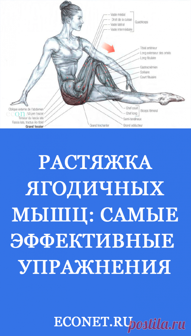 Растяжка ягодичных мышц: Самые эффективные упражнения

Растяжка мышц рекомендуется до и после тренировки. Для ЯГОДИЦ разработаны такие упражнения, которые подходят людям любого возраста. Вот самые популярные и эффективные упражнения для растяжки ягодичных мышц.