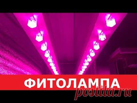 Фитолампа своими руками из светодиодов! Правильный свет для выращивания для растений.