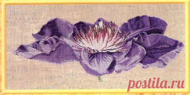Passion Flower. DMC.