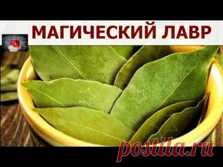 А вы знали что ЛАВРУШКА обладает магическими свойствами?