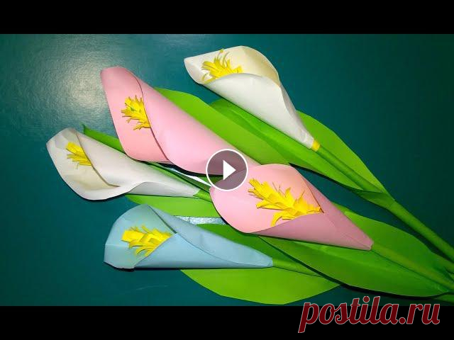 ???? Цветок Из Бумаги Калла Лилия/ Бумажные цветы Сувенир на 8 марта. DIY РУКОДЕЛИЕ ИДЕИ ДЛЯ ДОМА.Подписывайтесь на мой инстаграм: Цветок Из Бумаги Ка...