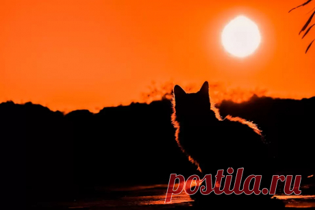 Предупреждающие сны Сонник Сон - Журнал полезных советов