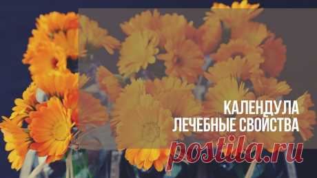 Календула лечебные свойства. Описание: растение календула в народе называется аптечный ноготок, так как семена календулы своей формой напоминают когти птиц, отсюда и название – ноготок.