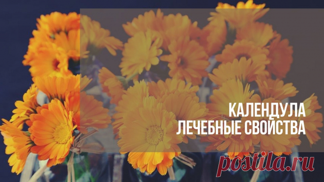 Календула лечебные свойства. Описание: растение календула в народе называется аптечный ноготок, так как семена календулы своей формой напоминают когти птиц, отсюда и название – ноготок.