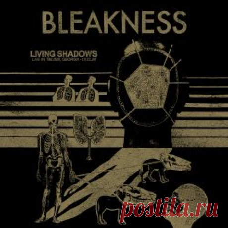 Bleakness - Living Shadows (Live) (2025) Artist: Bleakness Album: Living Shadows (Live) Year: 2025 Country: France Style: Gothic Rock, Post-Punk
