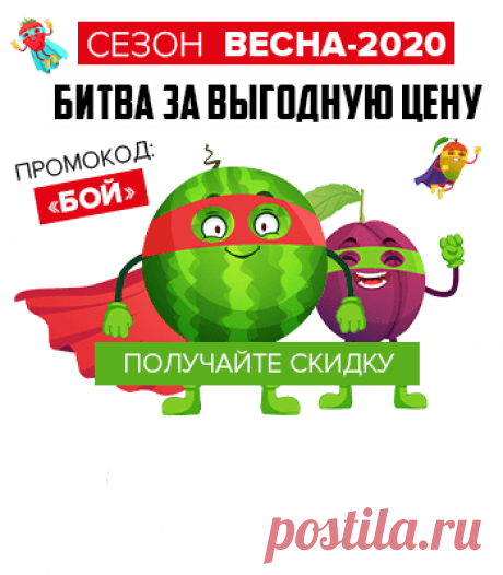 Саженцы морозостойкой хурмы почтой купить из питомника, Каталог сортов 2019, Интернет магазин Агромаркет-24 официальный сайт, Доставка по всей России, Москва, Санкт-Петербург, Краснодар и др.