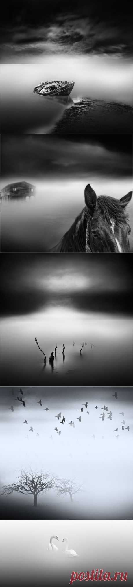 Фотограф Vassilis Tangoulis