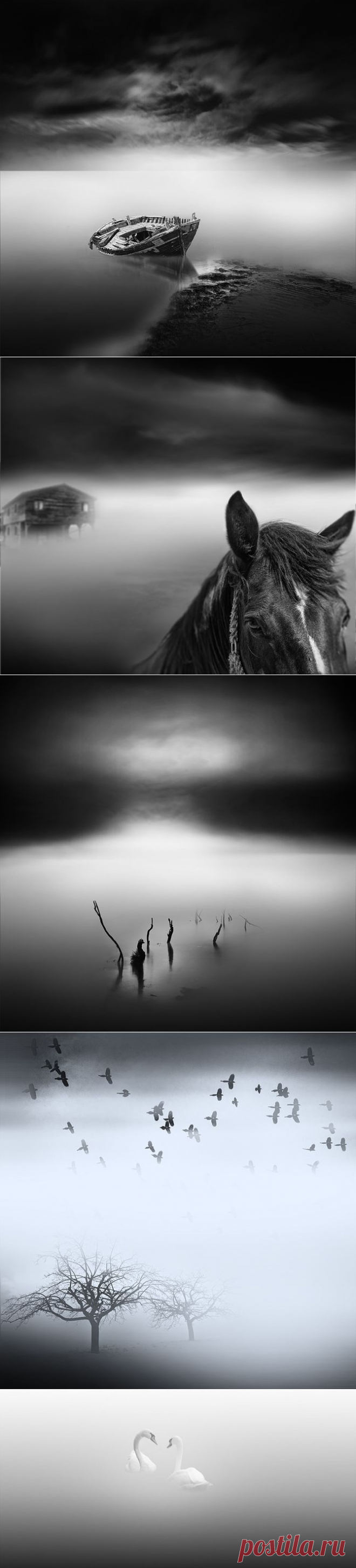 Фотограф Vassilis Tangoulis