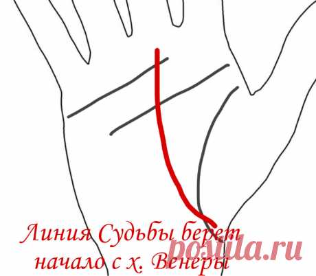 Линия Судьбы и карьера. | Виктория Кутукова | Яндекс Дзен