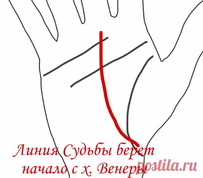 Линия Судьбы и карьера. | Виктория Кутукова | Яндекс Дзен