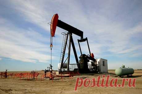 Мировые цены на нефть начали расти после резкого падения