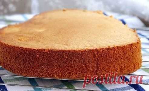Бисквит на горячем молоке.